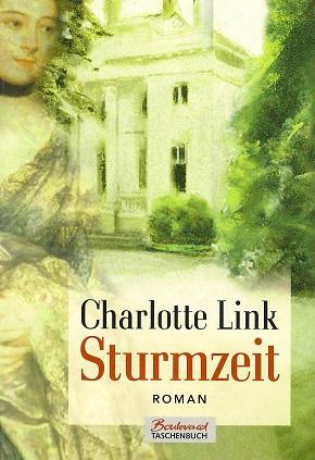 Link, Sturmzeit.