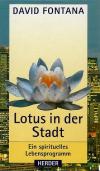 Fontana Lotus in der Stadt.