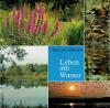 Imboden, Leben am Wasser