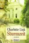 Link, Sturmzeit