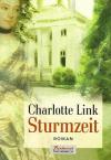 Link, Sturmzeit.